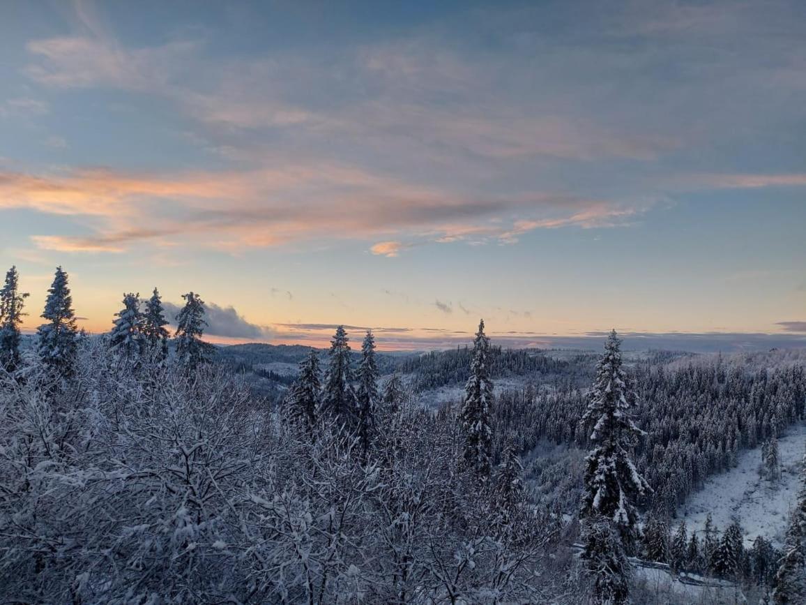 Tysovets Затишок 빌라 외부 사진